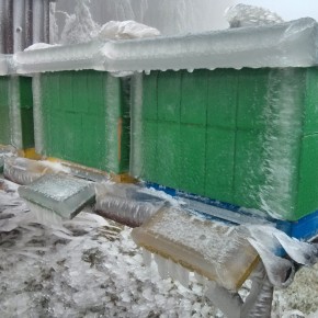 Naše úly pokryté ledovkou dne 3. prosince 2014